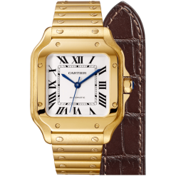 SANTOS DE CARTIER WATCH WGSA0010