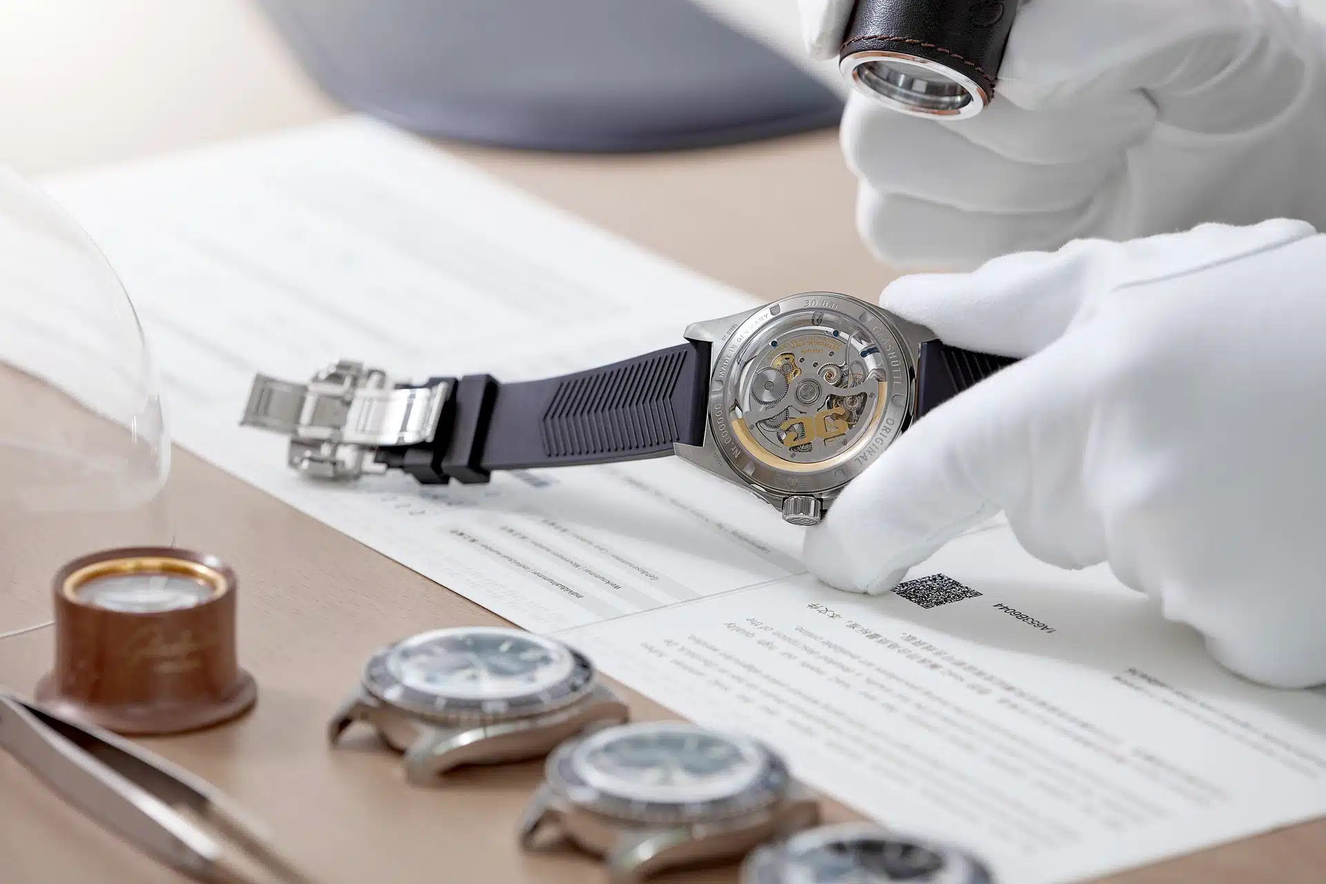 Luxury Watch Inspection