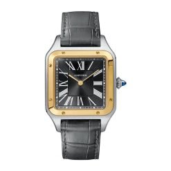 Cartier W2SA0015 Santos-Dumont Black Dial