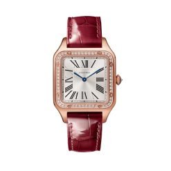 Cartier Santos-Dumont WJSA0016 Silvered Sunray Dial Watch
