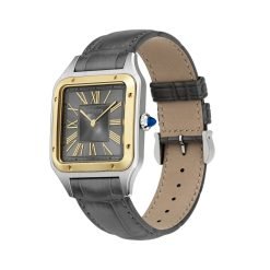 Alternative view of Cartier W2SA0028 Santos de Cartier Grey Sunray Dial Large