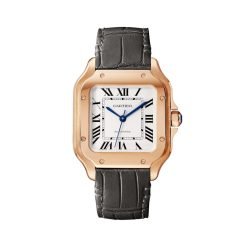 Cartier WGSA0028 Santos de Cartier Opaline Dial Watch